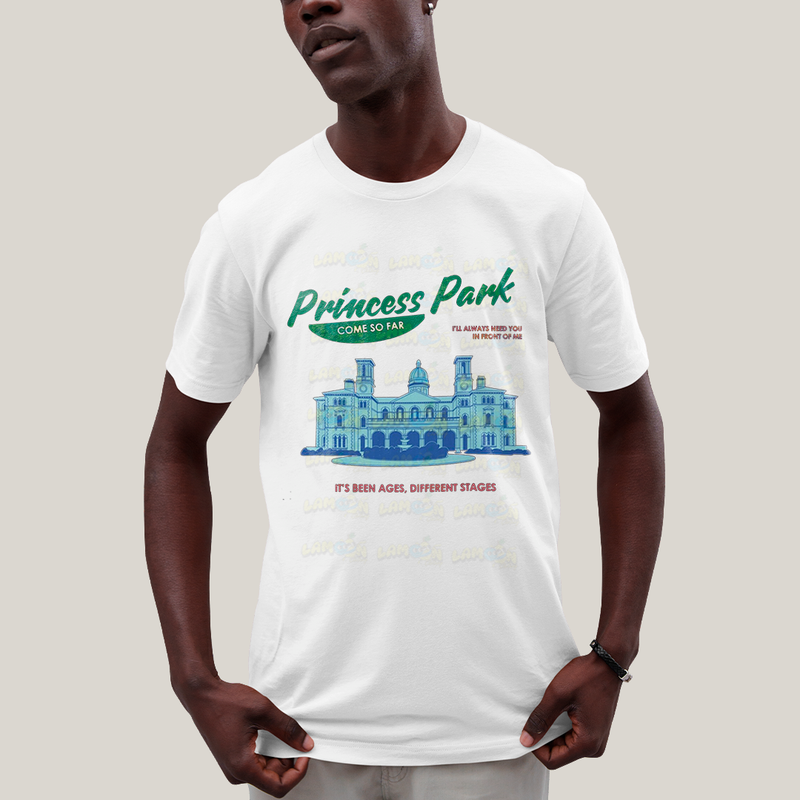 Camiseta Algodão Unissex T shirt - Princess Park Louis Tomlinson